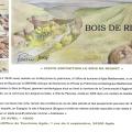 Visite exposition le bois de riquet